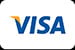 Visa Icon