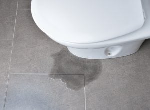 Leaking Toilet Base