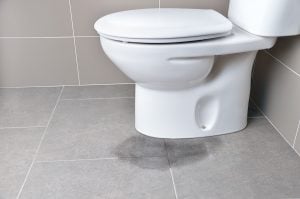 leaking toilet base