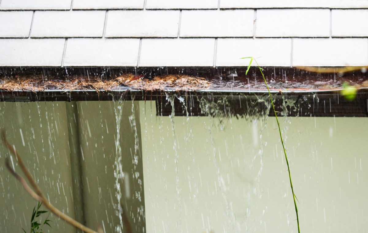 How to Clear a Blocked Stormwater Drain Service Today