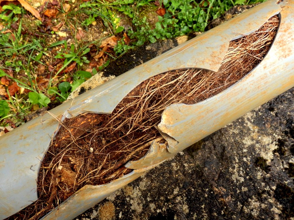 How to Clear a Blocked Stormwater Drain Service Today