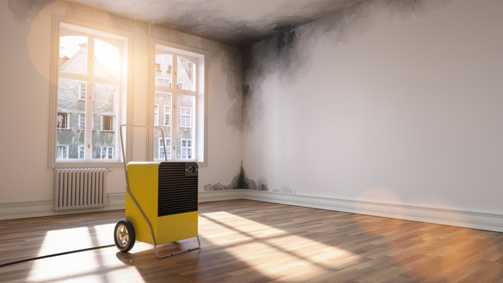 dehumidifier 