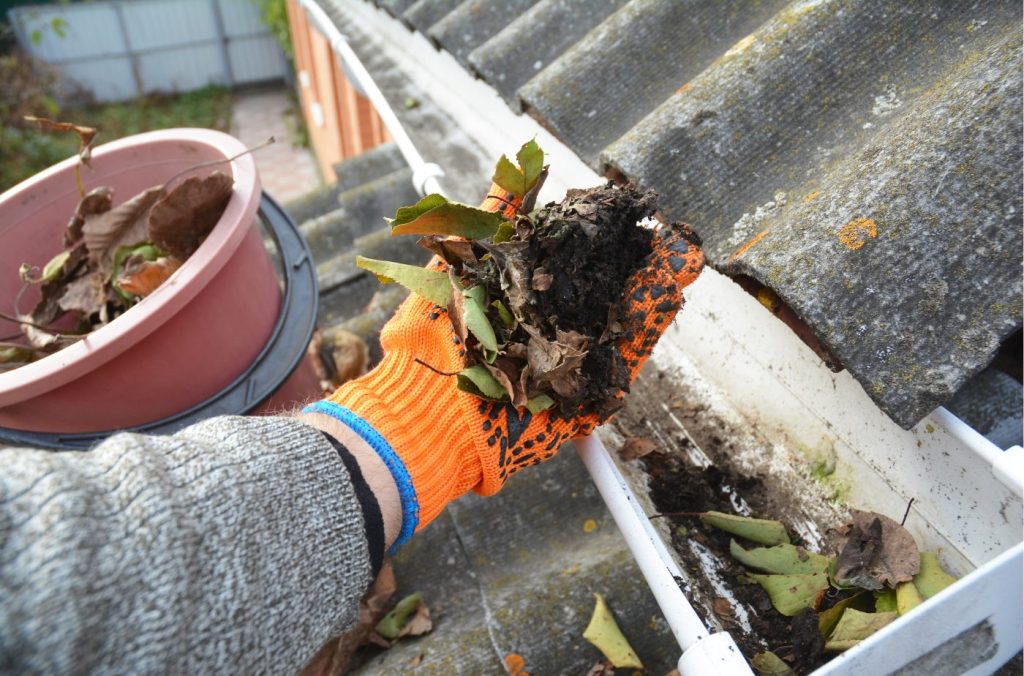 Dirt on Roof Gutter