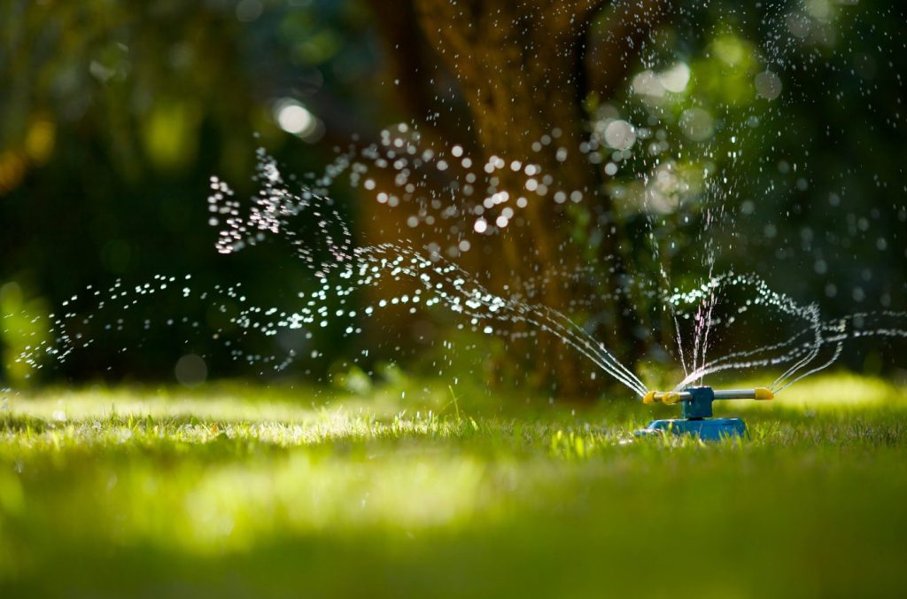 watering the garden