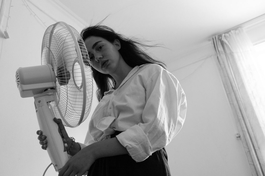pedestal fan