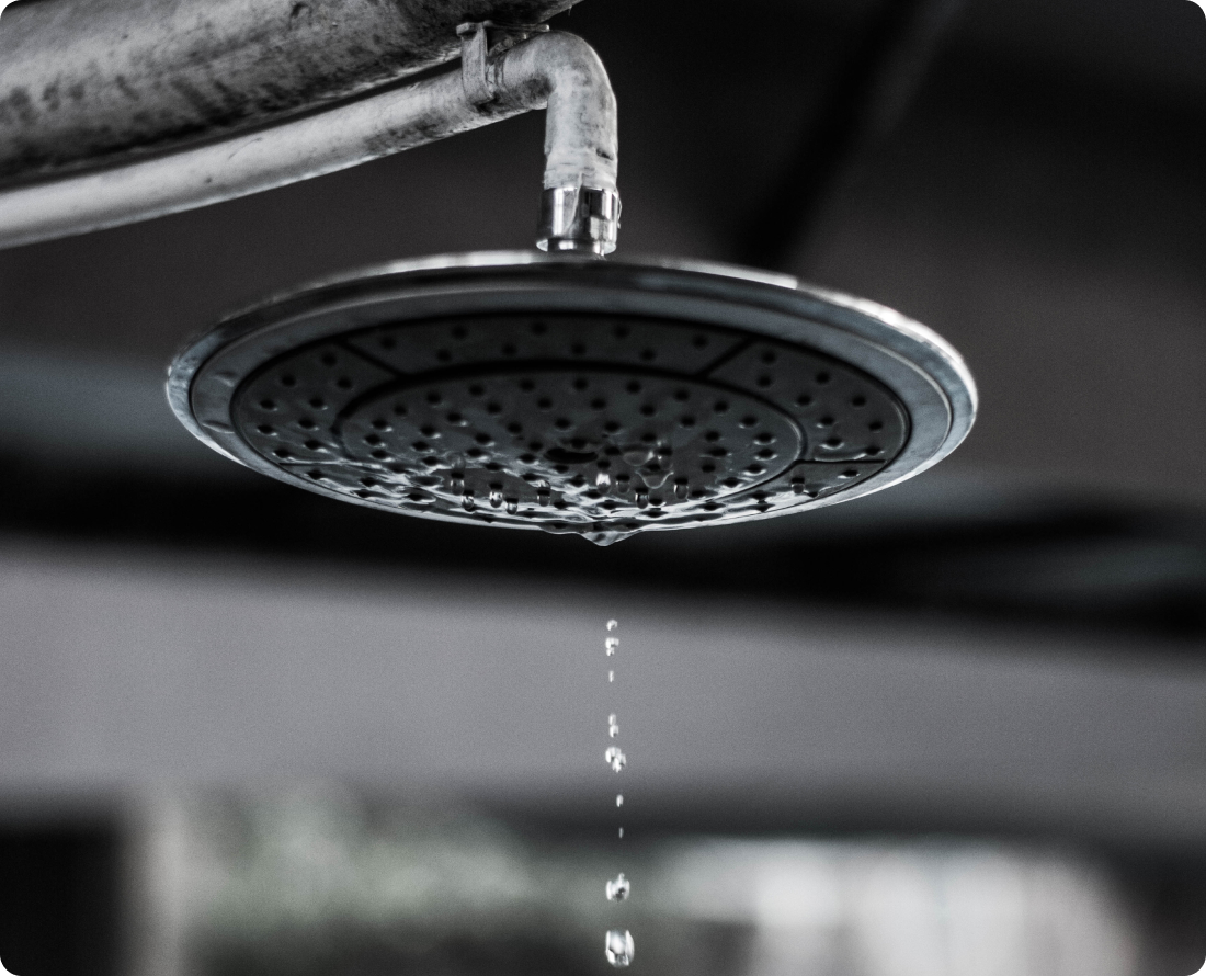 Close-up of a shower head with water dripping.